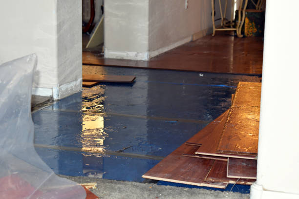 Professional Basement Flood Cleanup technician working in Ashland, OH